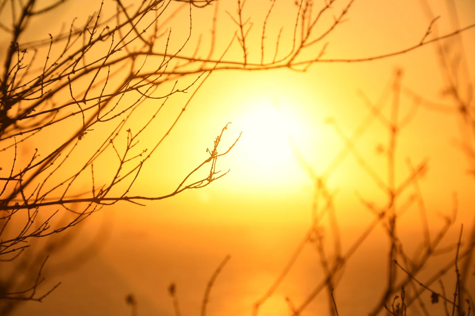 Impacto da onda de calor preocupa agricultura e pecuária no ES