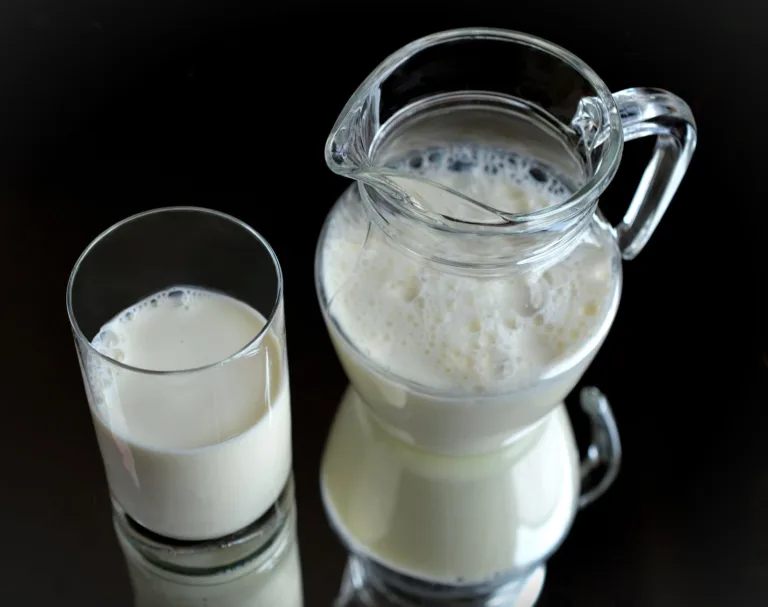 Intolerância à lactose ou alergia à proteína do leite de vaca? Conheça os perigos das dietas!