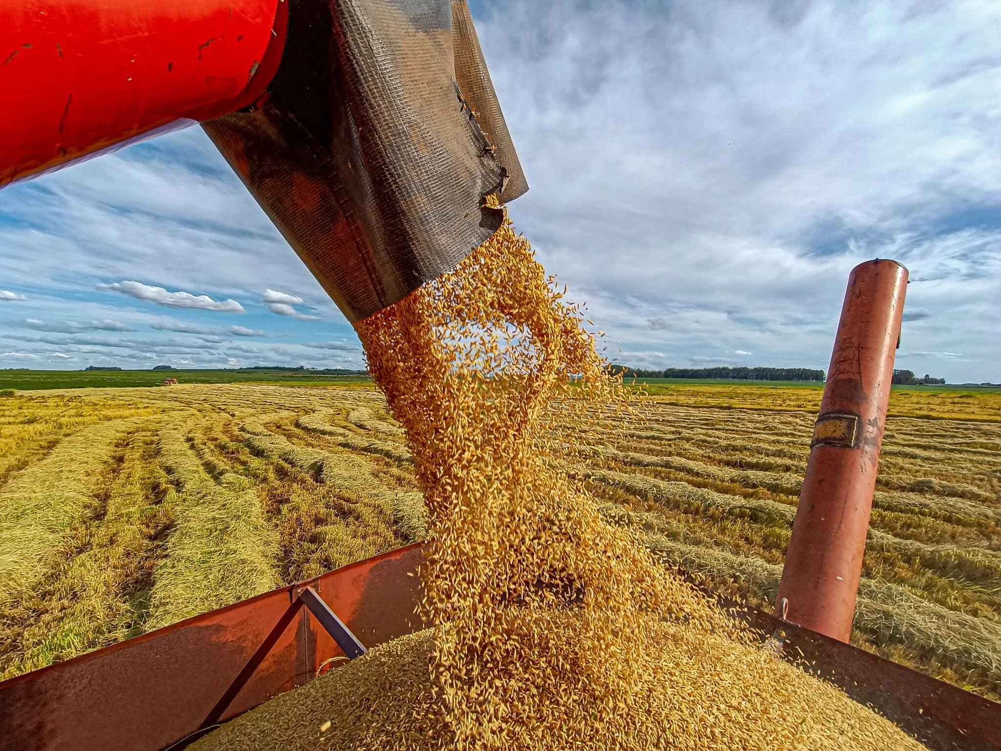 Sepé quer manter liderança no segmento de arroz e honrar raízes