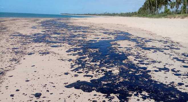 Projeto da UFBA transforma petróleo retirado das praias em carvão