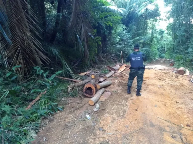 Foto: Divulgação / Polícia Militar Ambiental