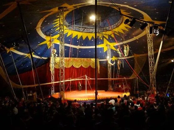 Cultura do ES lança edital de R$ 160 mil para circo tradicional