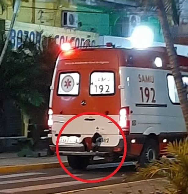 Fiel companheiro: cãozinho pega carona em ambulância após dono passar mal