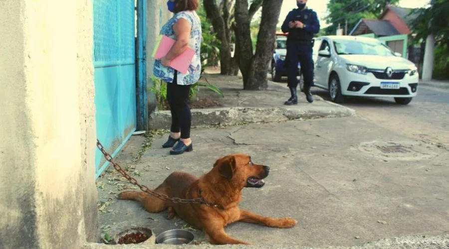 Foto: divulgação PMVV