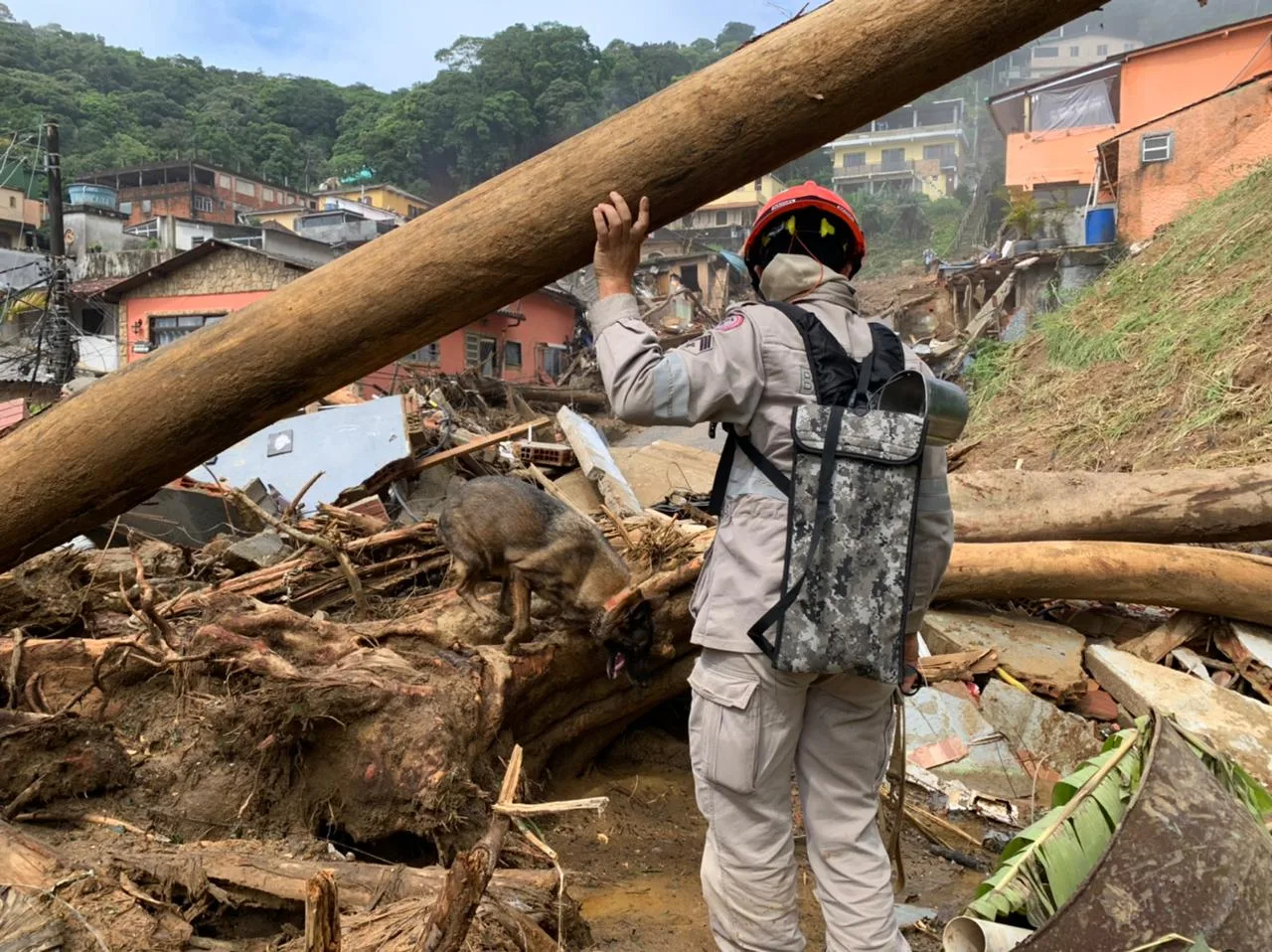 Chuva em Petrópolis: cães dos Bombeiros do ES encontram corpos de crianças em escombros