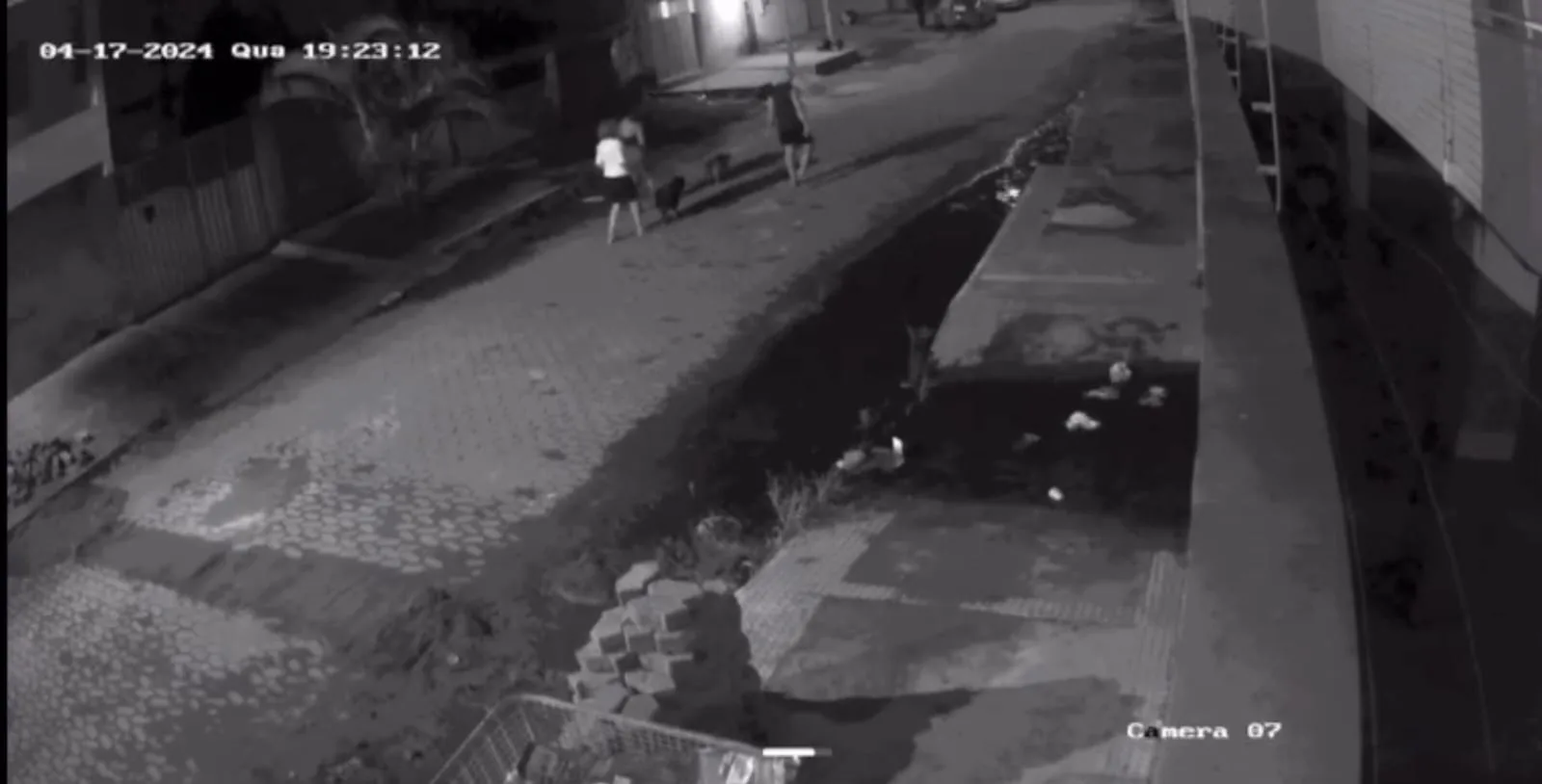 VÍDEO | Policial militar mata a tiros cachorro que fugiu de casa em Vila Velha