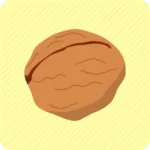 nuts_seed_fruit-512