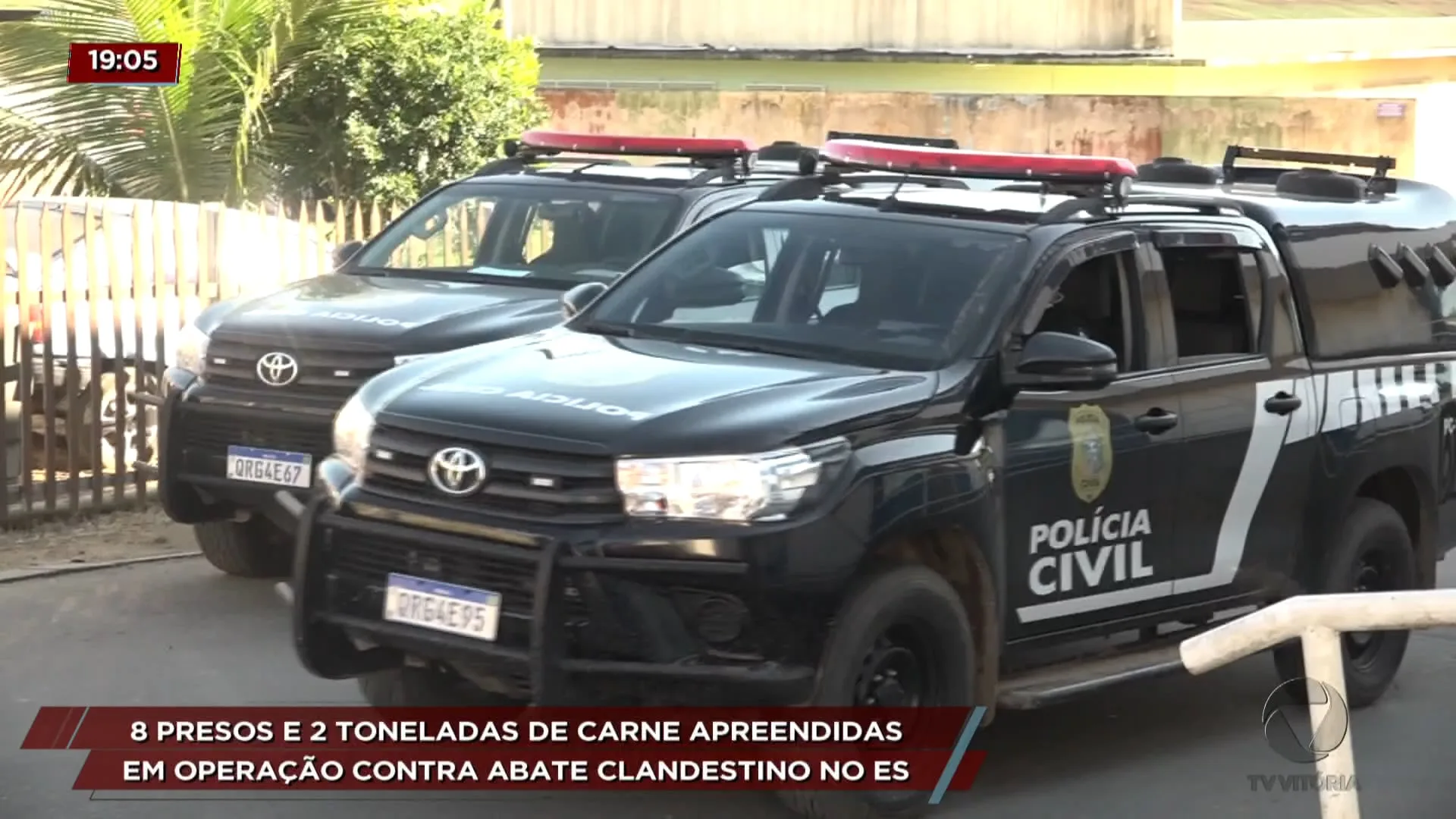 Polícia investiga venda de carne de cavalo misturada a de boi