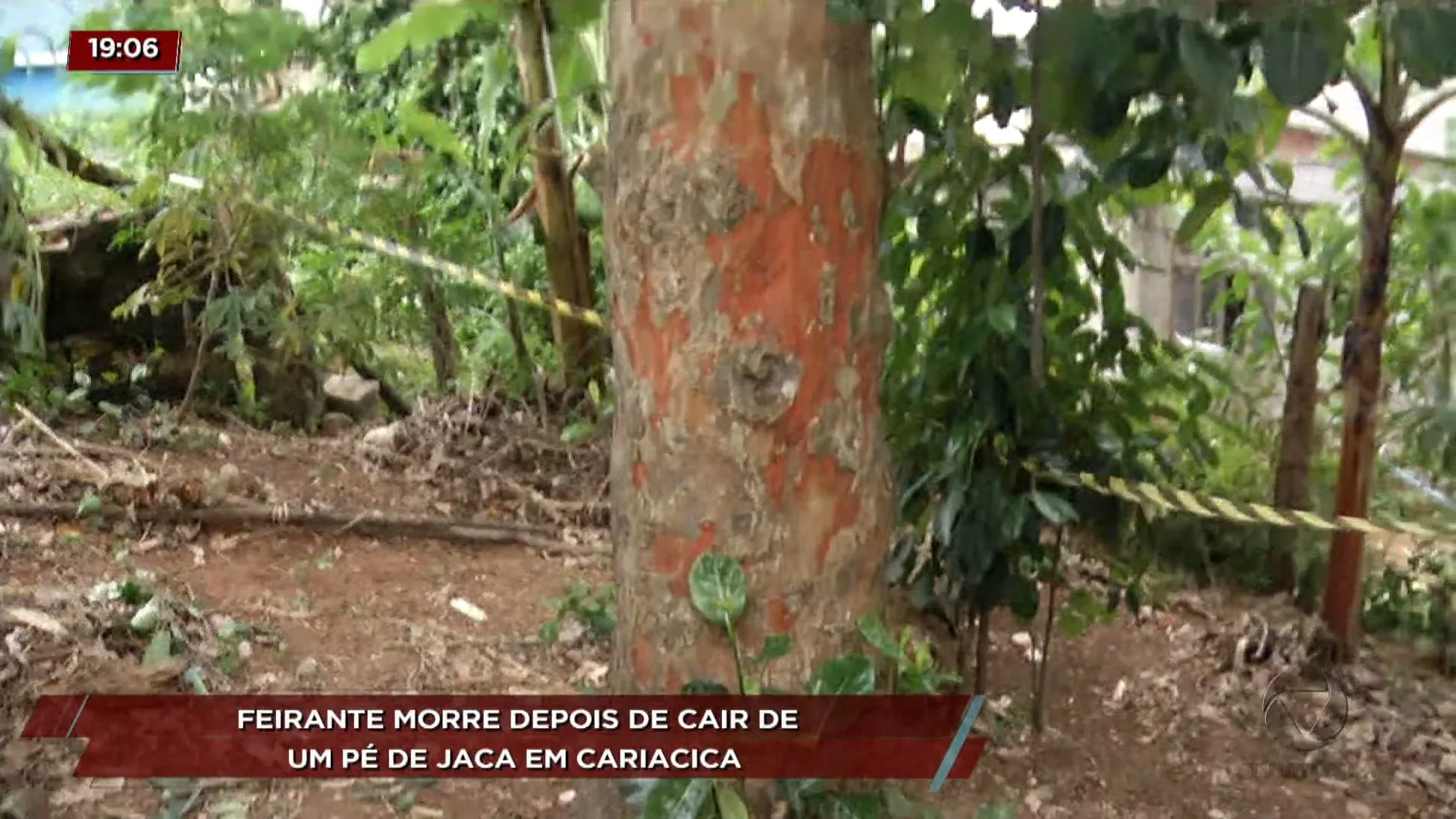 Feirante morre depois de cair de pé de jaca em Cariacica