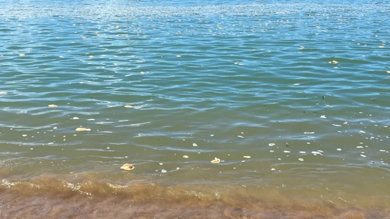 Espuma aparece na Praia da Guarderia e preocupa banhistas em Vitória