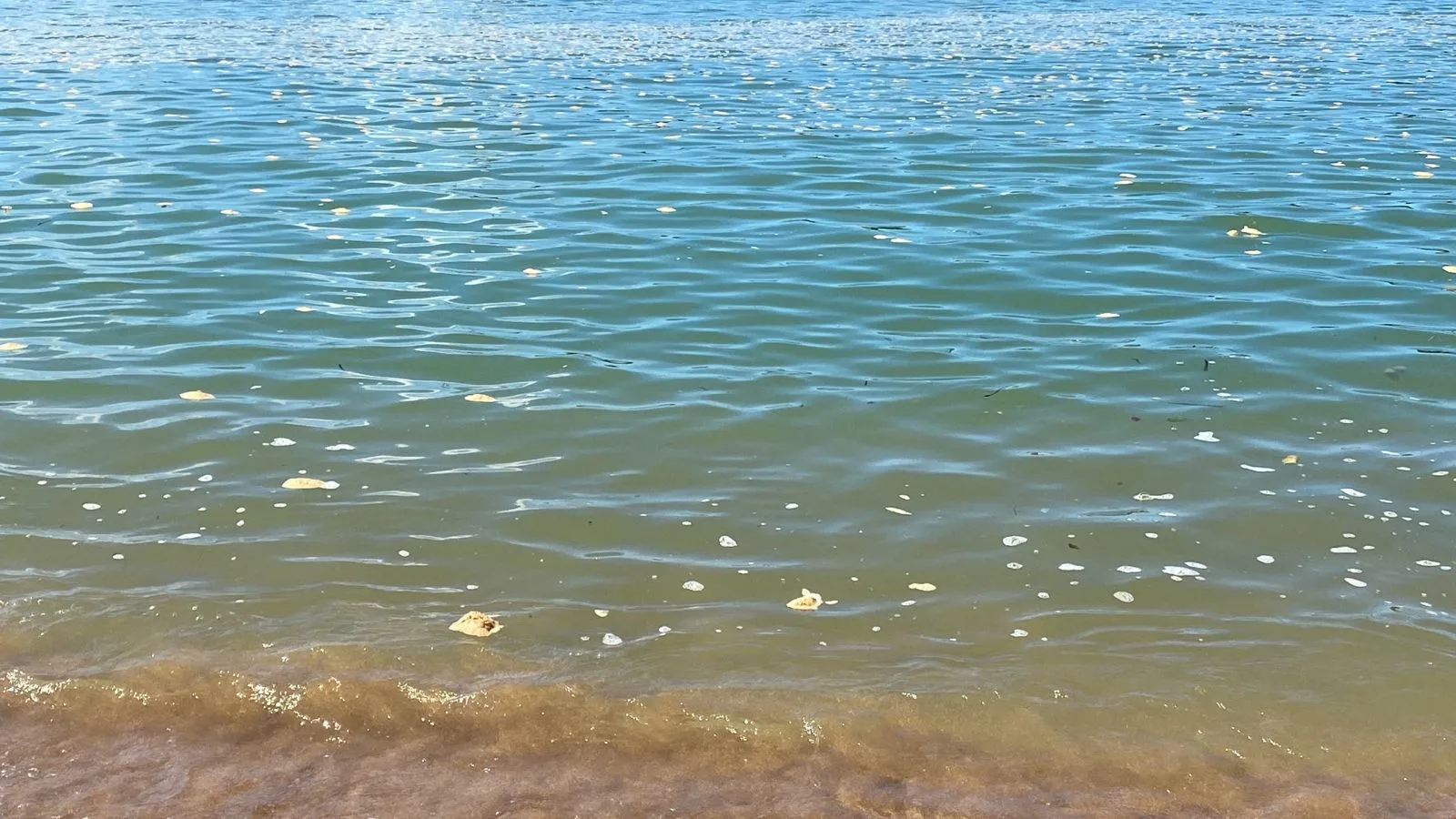 Espuma aparece na Praia da Guarderia e preocupa banhistas em Vitória