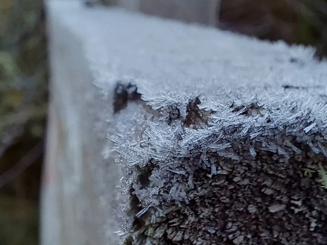 Frio no ES: parque fica coberto de gelo