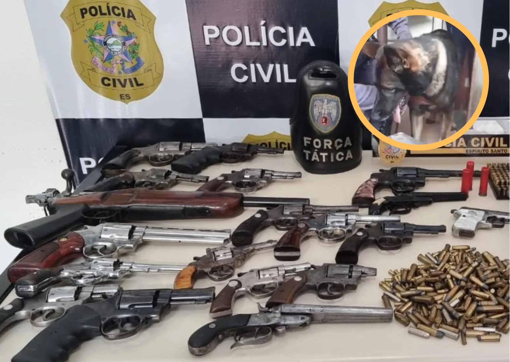 VÍDEO | "Golaço de Messi": cachorro da PM flagra 16 armas em aparelho de som em Cachoeiro