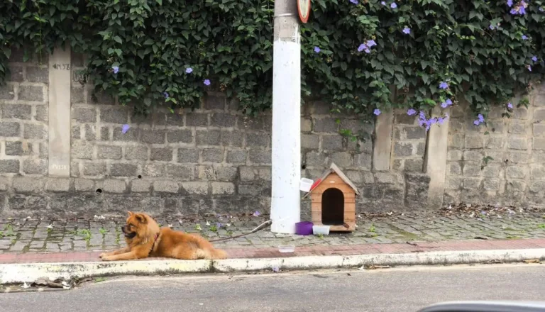 Foto: Leitor | Whatsapp Folha Vitória
