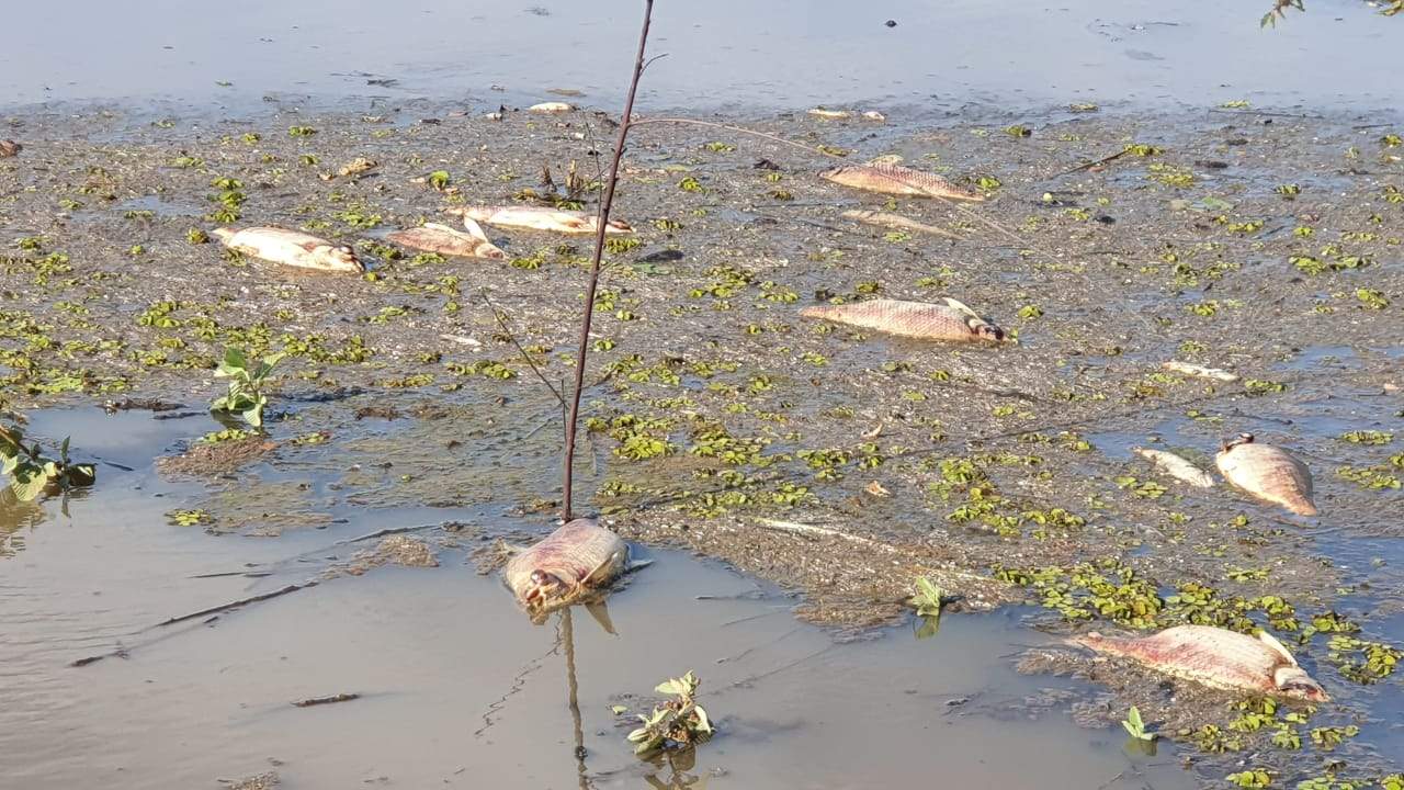 Tragédia de Mariana: atingidos têm até sábado para relatar danos