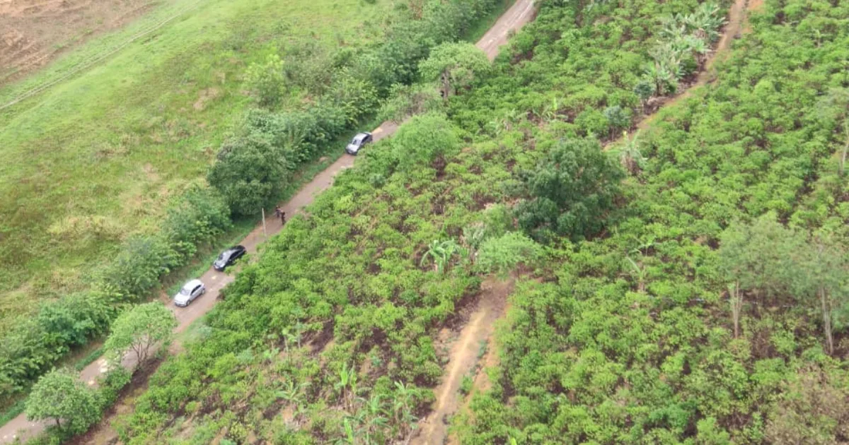 Foto: Divulgação / Polícia Civil