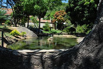 Parque Tabuazeiro completa 22 anos com diversas atividades culturais