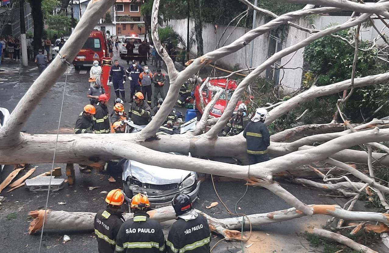 Queda de árvore sobre carro deixa família presa às ferragens em SP