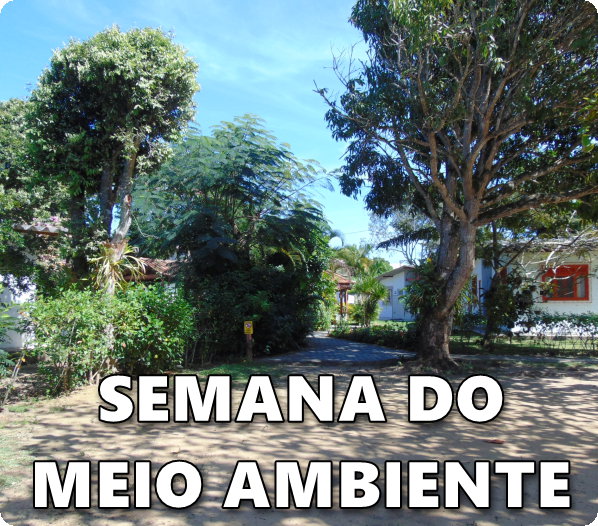 SEMANA DO MEIO AMBIENTE - Economize!