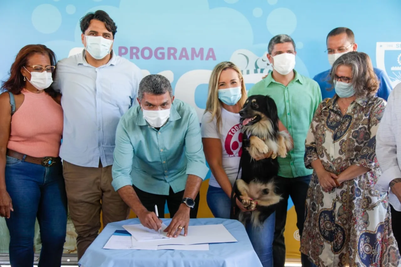 Cães e gatos serão castrados gratuitamente na Serra; animais atropelados ou vítimas de maus-tratos também serão resgatados