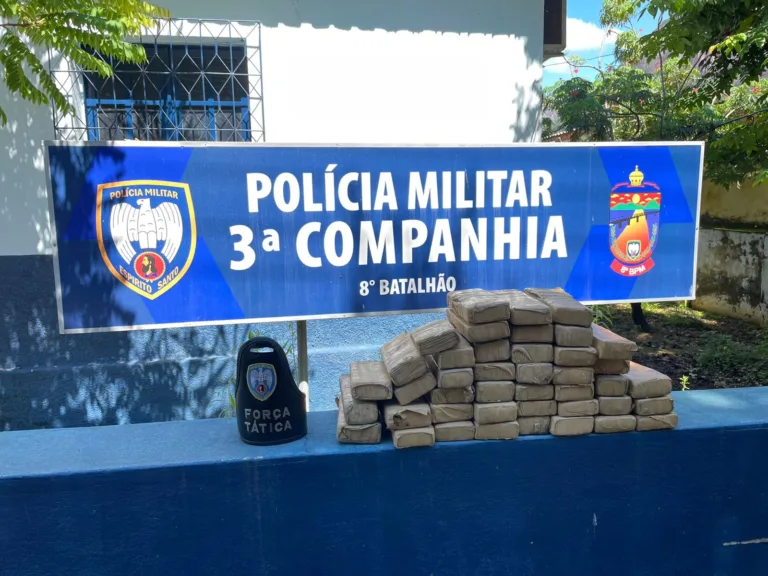 Polícia encontra 41 tabletes de maconha enterrados em quintal de casa e em área de mata no ES