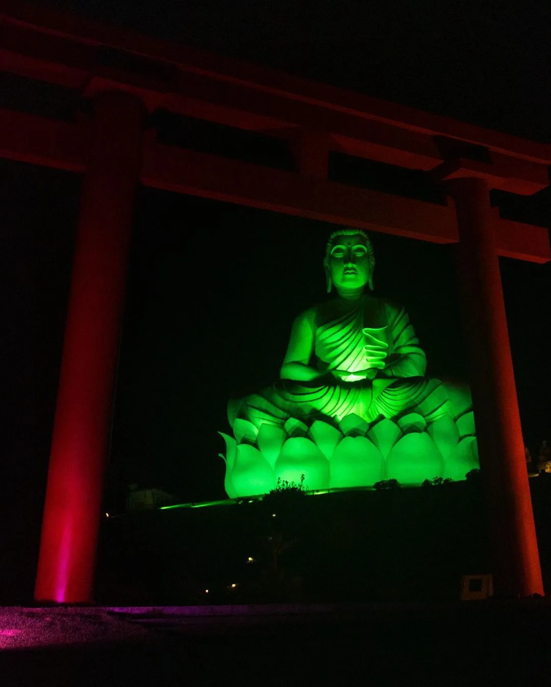 Buda gigante verde? Monumento ganha destaque internacional em Ibiraçu