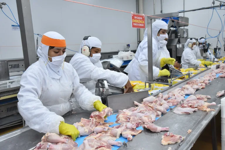 Apenas 3% da produção de frango do Estado é exportada  e não deve ter impacto com proibição de China e Japão, segundo secretário de Estado da Agricultura. Crédito: Cloves Louzada