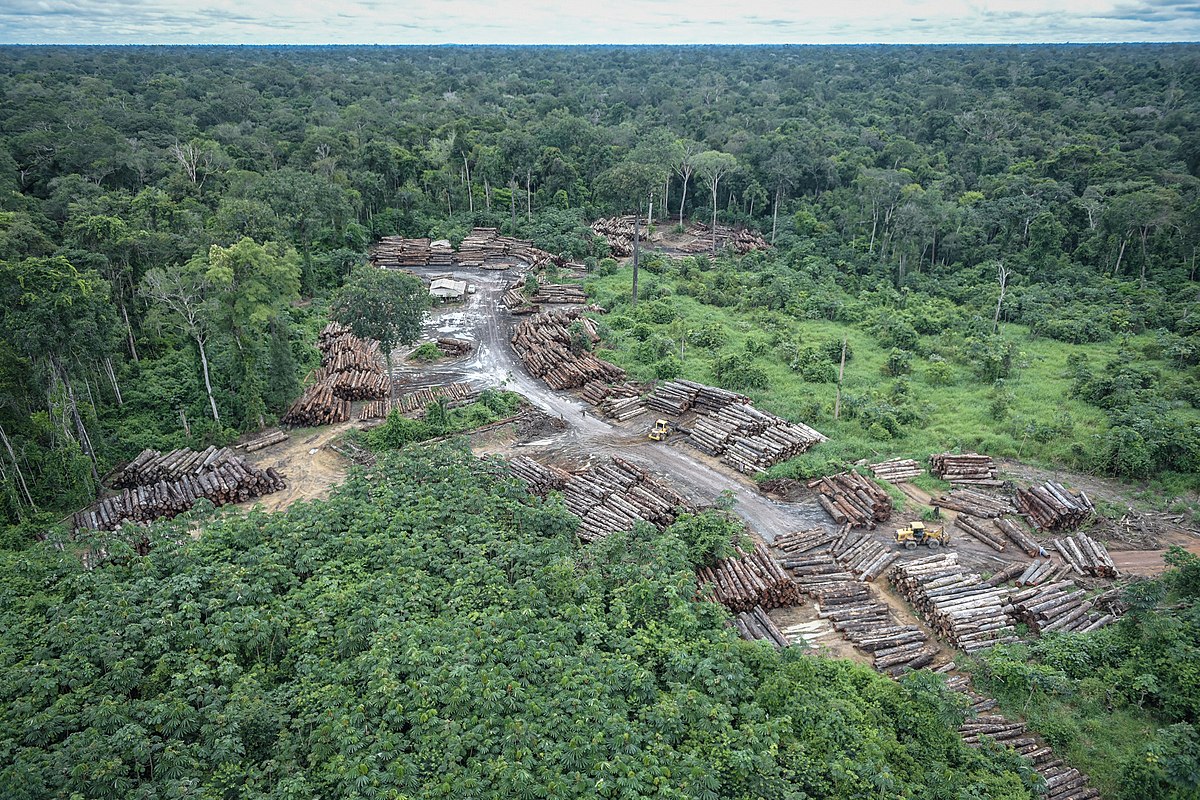 PLANO DE SUPRIMENTO SUSTENTÁVEL