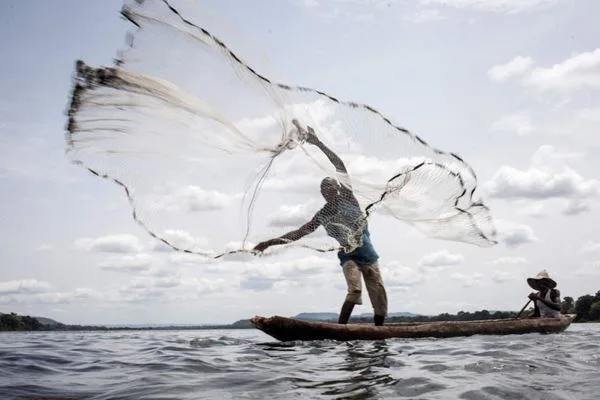 Grupo Mazzaferro cria ações voltadas para a sustentabilidade