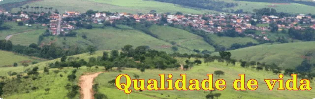 Qualidade de vida - O canário e a crise.