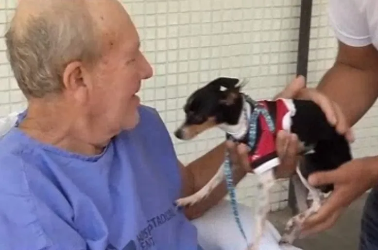 Internado há mais de 40 dias, paciente recebe visita do cãozinho de estimação e se emociona