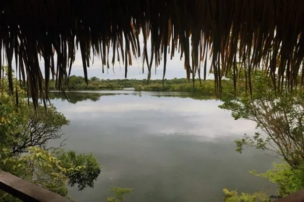 A maior cheia da história da bacia amazônica