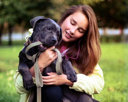 Vai viajar e não pode levar o pet? Site oferece cuidadores e passeadores de animais