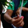 Foto: Fernando Frazão/ Agência Brasil