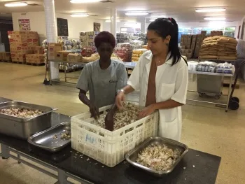 Doação Mesa Brasil para Banco de Alimentos