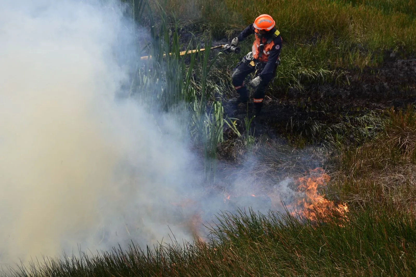 Espírito Santo tem 14 focos de incêndio em 48 horas, aponta Inpe