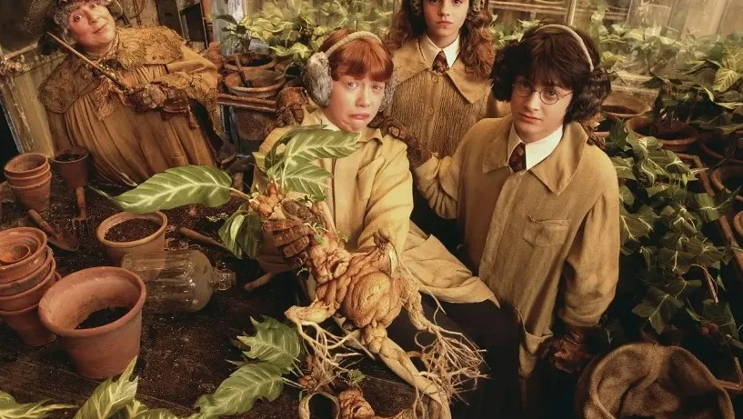 Foto: Reprodução / Filme "Harry Potter" - Warner Bros