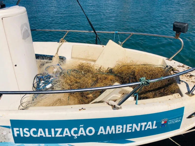 Pesca ilegal