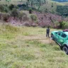 Foto: Divulgação/Idaf-ES