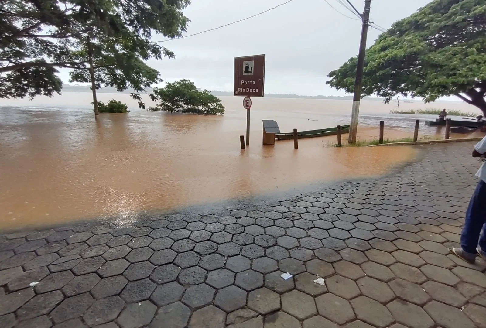 Nível do Rio Doce baixa, mas segue acima da cota de inundação em Linhares