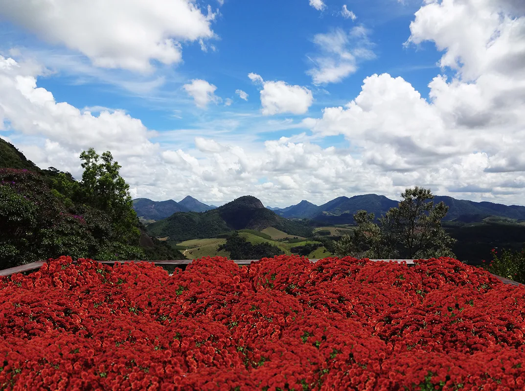 Mosteiro de Ibiraçu será palco de intervenção com flores vermelhas