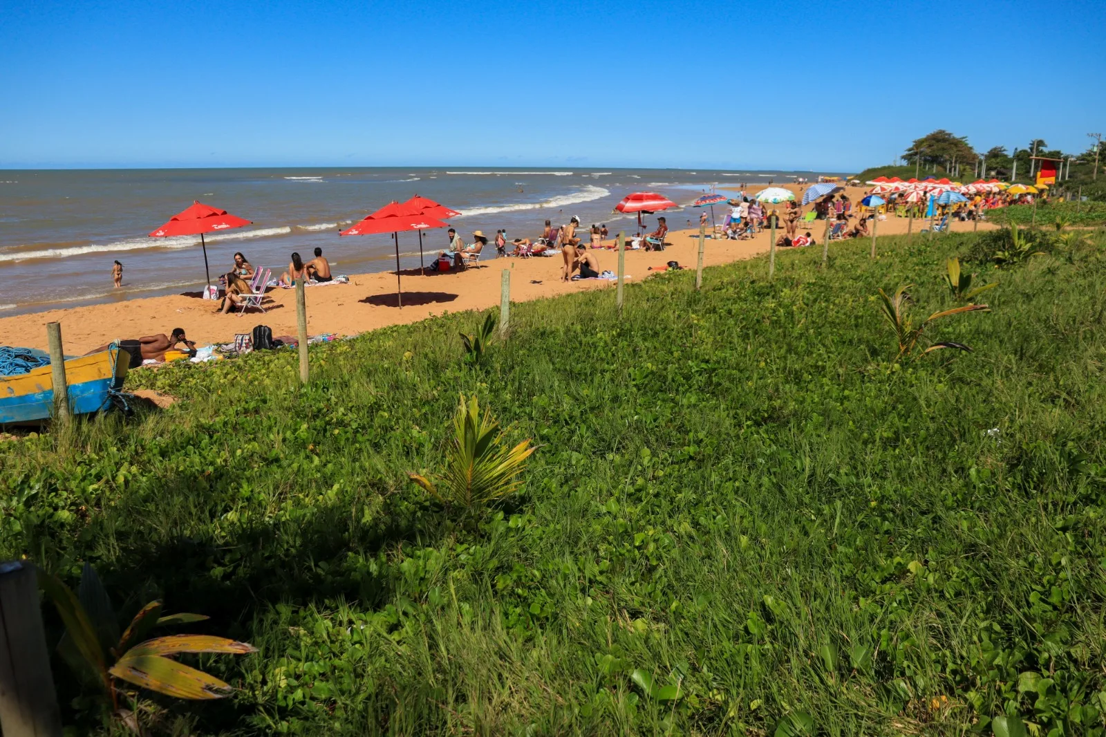 Restinga: Praia Limpa na Serra investe em ações de preservação