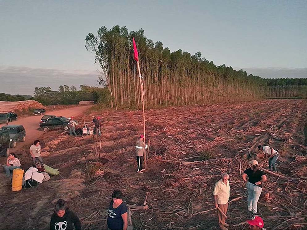 MST desocupa fazendas da Suzano invadidas no ES 10 dias após decisão judicial