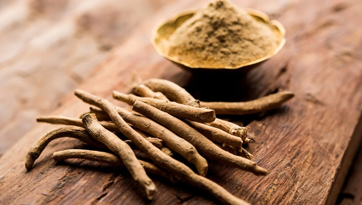 Ashwagandha: o potente ginseng indiano que ajuda a reduzir a ansiedade