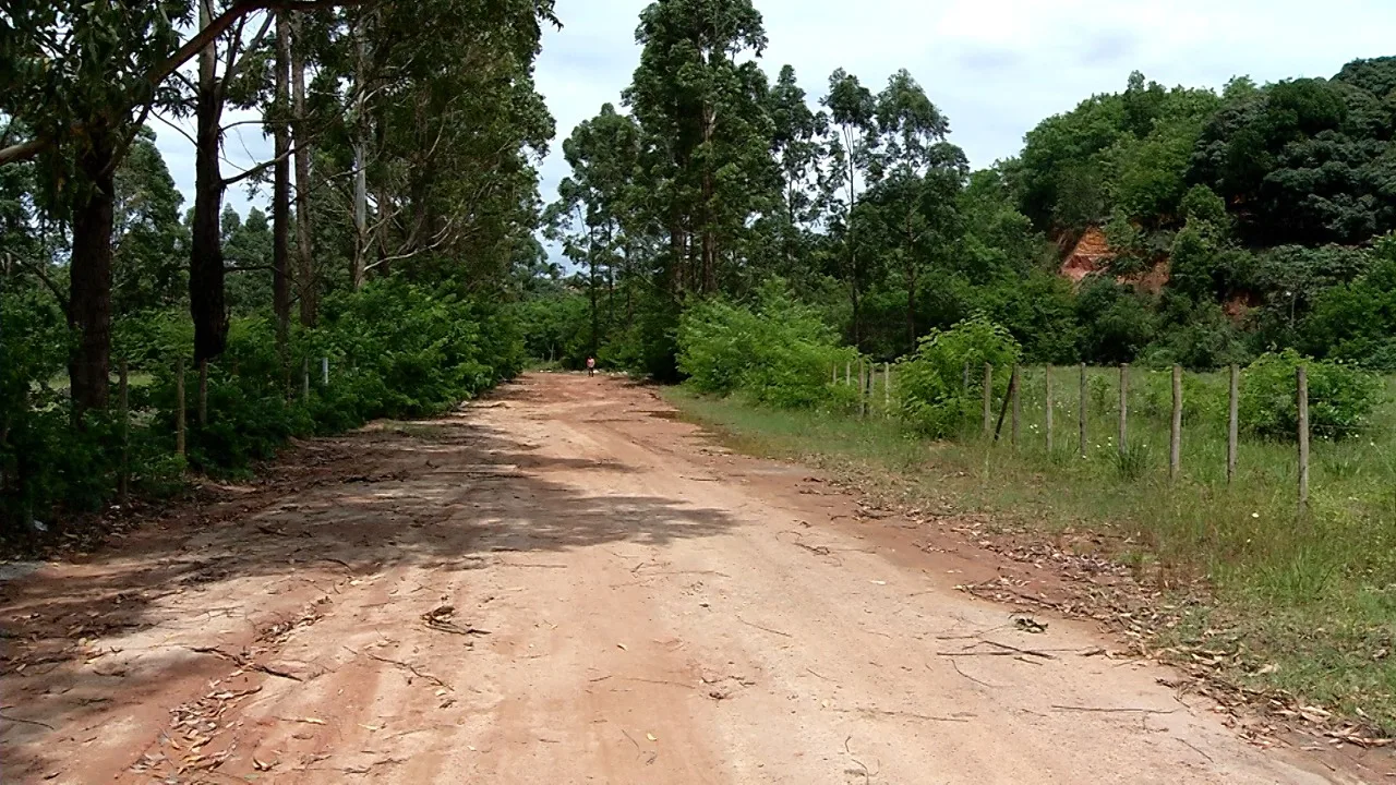 Foto: Reprodução / TV Vitória