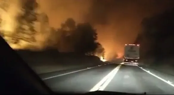 VÍDEO | Incêndio de grandes proporções atinge Reserva Biológica de Sooretama e destrói 25 hectares