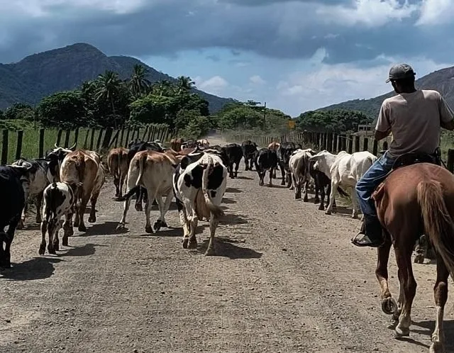 Foto: governo do ES