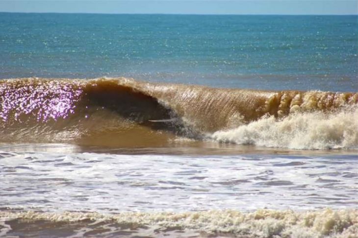 Campeonato de Surf reunirá atletas profissionais na foz do rio Doce e coloca o Espírito Santo na rota do esporte profissional