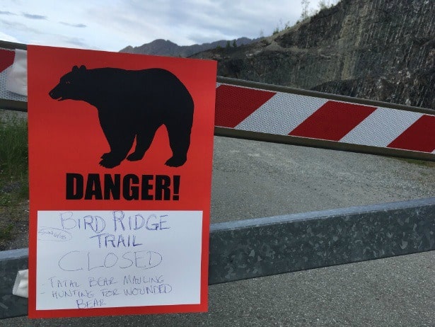 Corredor morre após ser atacado por urso em prova de montanha no Alasca