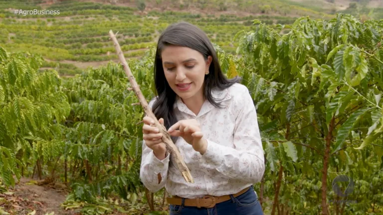 Agro Business EP38